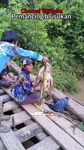 Kena mental..!! kalaw teman dapat ikan banyak²#mancing #mancing #mancing #mancing #mancing #mancing #mancing #mancing #mancing #mancing #mancing #mancing #mancing #mancing 