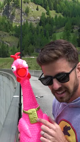 it screamed the whole way haha