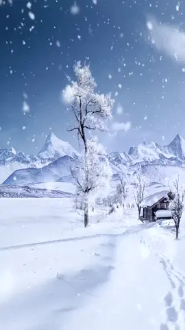 #scenery#wallpaper#snow#winter#cure#fyp