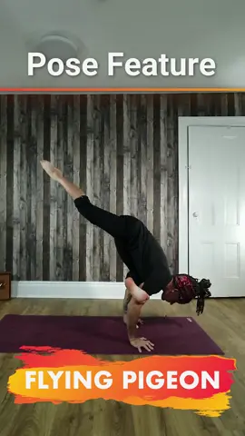 How to come into flying pigeon pose (eka pada galavasana). Join me for livestream classes. See you on the mat. #Fitness #fitnesstips #yoga #yogafitness #workout #yogateacher #meninyoga #yogapose #yogalove #ashtavakrasna #flyingpigeon #flyingpigeonpose 