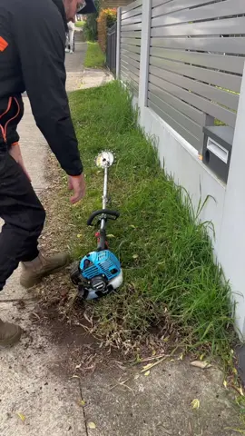Dirty  #fyp #transformation #lawncare #asmr #oddlysatisfying 