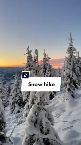 Favorite hike in Lillehammer 💗 . #norway #lillehammer #visitnorway #winter #vibe #snow #snowaesthetic #winteraesthetic #aesthetic #scandinavia #norge #outdoor #travel #travelmoments #girlswhotravel #viral #norwegian #traveltiktok #adventurelife #erasmus #semesterabroad #fyp #foryoupagethis