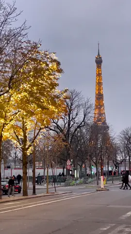Christmas in Paris ✨🇫🇷🎄
