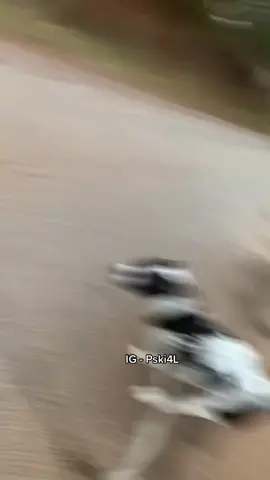 Oh no #zoandba #mezzowrld @BaDog🐾 