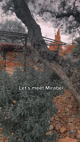 Bucket list! #disneytravelagent #disneyland #disneylandhotel #encanto 