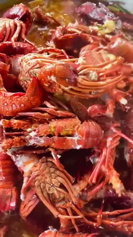Lobster saos padang 🤤🤤 #warungayumi #masakanjawa #ayumicatering #kulinertulungagung #kulinerngunut #prasmananayumi #lobster 