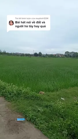 Trả lời @maytinh1234 Lời bài hát diễn tả chân thực nhất về đất và con người Hà Tây : bình dị , thân thương, dạt dào và ấm áp #😄😁😆😅😃😀😙😘🤣 #hatayquelua #hatayquêtoi #xuhuong #tiktok 