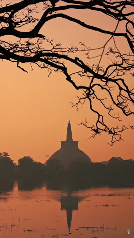 Blessed Sri Lanka 🇱🇰   #visitsrilanka #srilanka #storytime #traveltiktok #travellife #nature #visitdubai #drone #travelbucketlist2019 #traveling #trend #traveltok #kerala #sunrise #lka #srilanka🇱🇰 #buddhist #temple 