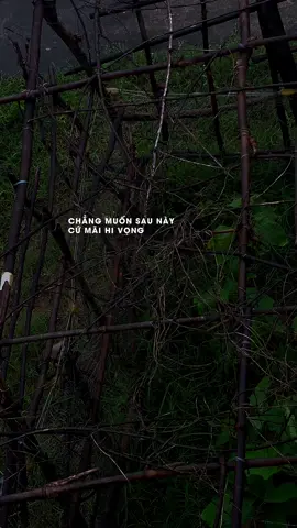 Lại nhớ thương người không chắc bên nhau…