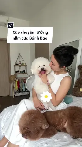 Nói thiệt đây là líp tui lồng tiếng rất khó…tại tui cười hoài luôn mãi mới thu xong #fyp #foryou #changshugo #boo #banhbao #daily #petlover #cute #fun #cutedog #pet #family 