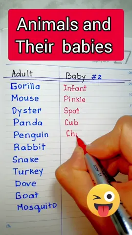 #fypシ゚viral #englishteacher #learnenglish #animalsandbabies 