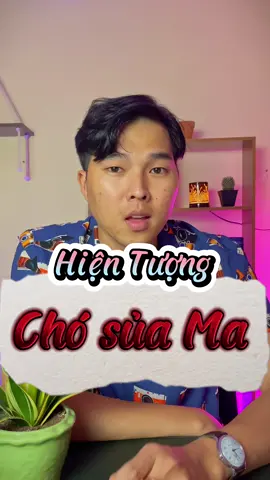 Chó nhà mấy ông ban đêm có hay sủa nhiều khôn? #nhuannguyen #tiktokmentor #LearnOnTikTok #tamlinh #phongthuy #hoccungtiktok 