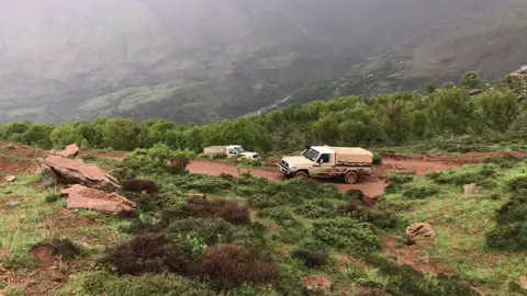 شێر 🖤ئەو هەستانە #ماشاءالله #شاص2020 #شاص #میکزەمینی #قاچاقچیان_کورد #fypシ #fyp #explor #7aje_rabunn #7aje_rabun #قاچاخچی #پشدەر #سلێمانی 