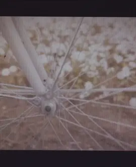 #CapCut #kimtaehyung_v #veautiful #V #veautifuldays  ယူသွားဦးပေါ့ တို့ရဲ့အချစ်🧸🤎