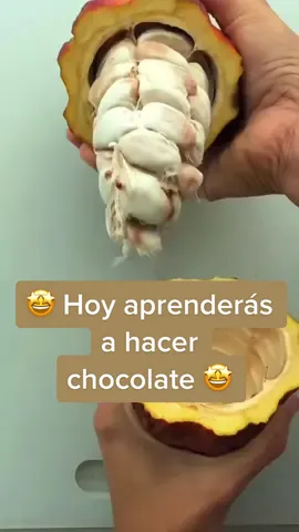 Si te gusta el chocolate déjame esta carita en comentarios: 🤩  No olvides enviar el vídeo a ese amigo tuyo que ama el chocolate 🤩 @21gramos_tienda #chocolate #cacao #saludable #ricoysano #recetas #reposteria #postres #comer #21gramos_tienda 