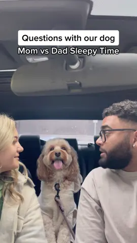 I can’t believe this happened… 😳 #dogsoftiktok #Love #dogs #talkingdog #fyp #lunatheminicockapoo 