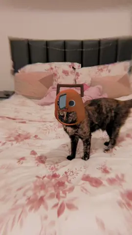 Minha pochita 🧡 #chainsawman #pochita #denji 