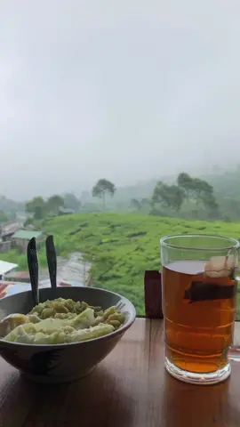 gas weekend ke puncak 😅 edisikangenmiepuncak #healing #liburancheck #mentahanvideo #statuswhatsapp #jawabaratpunya #wisatabogorhits #puncakbogor #warpatpuncak #tagtemenkalian #fypシ #bogorhits 