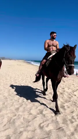 Letting nature’s butt takes its course 🐎 🌴🐎 #fyp #arabian #horse# #arabianhorse #arabianman #hairyarabs #hairymendoitbetter #horseriding #riding #takearide #sexyarabs #manlyman #blackhorse #beach #sandybeach #elegant #enjoyingmytime #funatthebeach #sunnydays #throwback #memories #chest #fitguys #jumponit #realhorse ##عربي #حصان_عربي_أصيل #بحر #تشمسو😎 #شمس #بحر #خيال #ركوب_الخيل #حصان #اسود #حصان_اسود #حصان_عربي #شباب #الربع_صديق_الكل #اصالة 