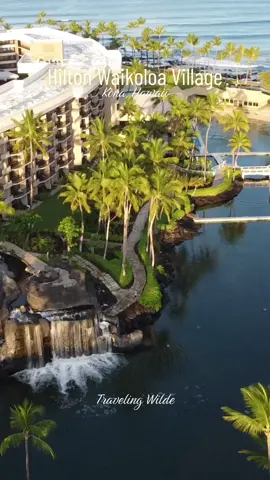 The Hilton in Kona is absolutely gorgeous. Beautiful swimming pools and an amazing lagoon filled with abundant wildlife, including green sea turtles… not to mention the 17 dolphins on property. Seriously, who would not want to stay here? We will definitely be coming back!!  Video by Traveling Wilde  #H#HiltonHotelsH#HiltonWaikoloaB#BeautifulHotelsTravelingWilde