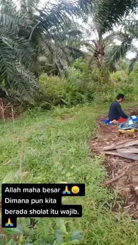 Seorang pekerja TKI Sholat Dalam kebun sawit Allah maha besar #mamehandvicente 