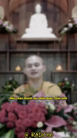 Liệu chân thành có đổi được chân tình… #radio66📻 #lnl98 #suyngam #LearnOnTikTok #xuhuong #tinhyeu #fyp #caunoihay #giacminhluat 