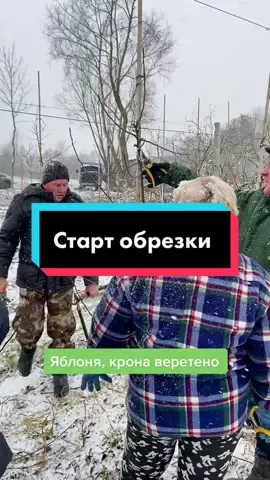 #обрезкадеревьев #обрезкаплодовыхдеревьев 