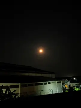 sadulur 4 limo pancer#fypシ#tidur#beranda#malam#trending#lirik#pituturjowo 