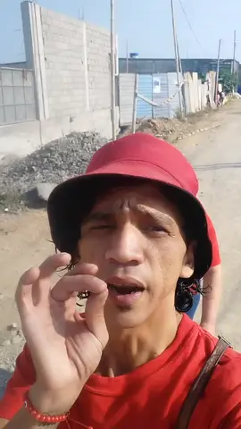 Reporte del Clima ☀️☀️Sol hasta las guevas #rickyelrecorrehuecas #ecuadorguayaquil🇪🇨 #fyp #fyppppppppppppppppppppppp #ecuador🇪🇨 #parati #viralvideo #parati 