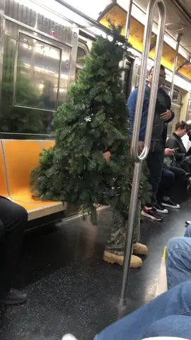 🎄🎄🎄 #subwaycreatures #fyp #foryoupage #subway #iloveny #nyc #christmas #christmastree 