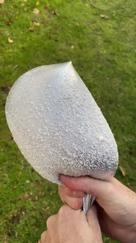 That sound 🫠 #asmr 