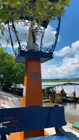 Cómo no #amar esta #tierra #loving #river #rio #riomagdalena #puertoboyaca #boyaca #colombia🇨🇴 #puerto #agua #turismo #virgen #canoa #day #fyp #greenscreen #foryou 