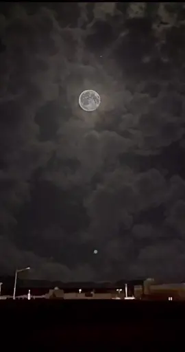 اهـ ي ضحكه مافارقت عيني  💔💔#سوو_حركه_اكسبلور🥺🤍 #اكسبلورexplore #سنابي_بالبايو🤍 #المزن