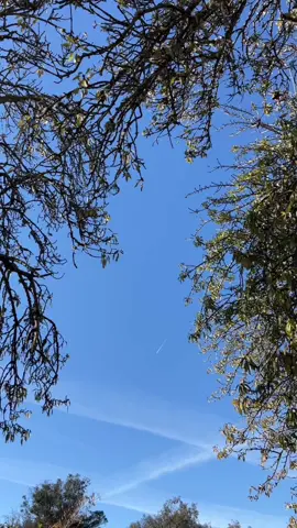 Reposting cuz it flopped😭#fyp #edit #dance 