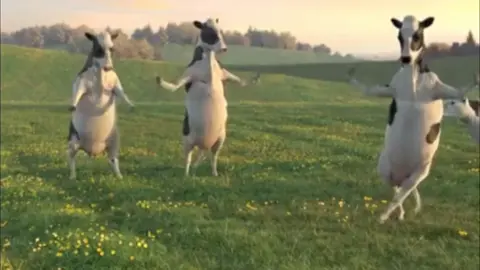 🐄💃#dancingcows #cows #cow #funny #foryoupage #fyp #capcut #edit 