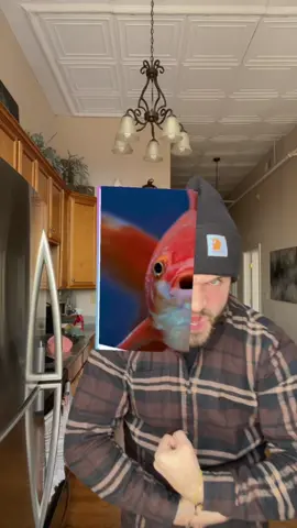 #stitch with @scisavage we gave this one a shot..
