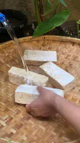 Tips menghilangkan bau tempe pada tempe #svr #SerunyaBola  #SerunyaKuliner  #FIFAWorldCup