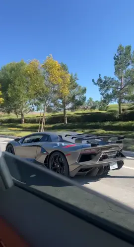V12 Lamborghini BRUTAL Downshift Pt. 2 #cars #lamborghini #exhaust #carspotting 