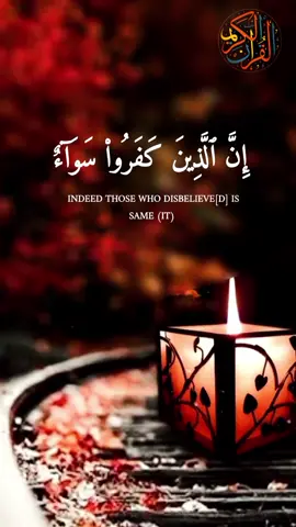 إن الذين كفروا #البقرة #مشاري_راشد_العفاسي #CapCut 