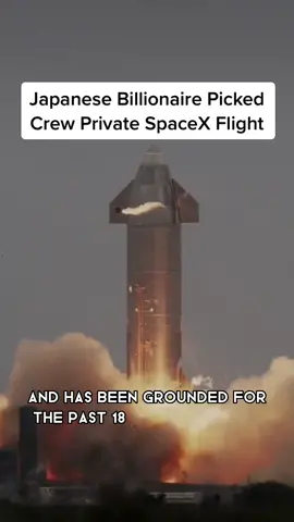 Japanese Billionaire Picked Crew Private SpaceX Flight #spacex #zozo 