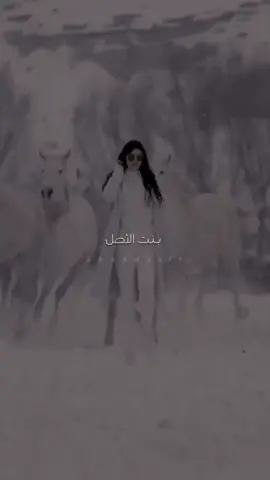 بنت الأصل المتلا قلال 😎 #بنت_الاصل #الشاعر_علي_الأخرس🎶 #الشاعر_علي_الأخرس✍️ #_arabmusic 