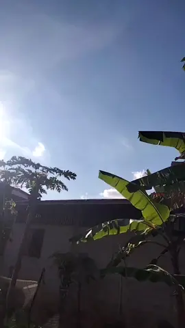 #ซุ้มเพชรเจริญโชค🐓 #เด็กเลี้ยงไก่🐓 #วัยรุ่น1100🐓💯✅ 