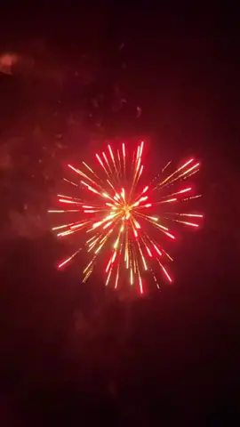 Fireworks #mood #vibes #moodvideo #aesthetic 