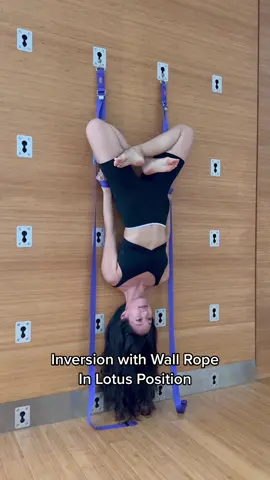 #wallrope #upsidedown #lotusposevariation #greatyogawall #inversion #handstand #yoga #EduTok #yogainspiration #yogasingapore #fitnessmotivation #fitnesstips #sgfitness #yogagirl #yogainstructor #inversionpractice #wallropepractice #singaporelife #yogalover #yogafun #yogaprops #yogafun #trythis 