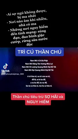 Cú Thần Chú- tiêu trừ sợ hãi và nguy hiểm  #CapCut #phatphapnhiemmau #LearnOnTikTok #studywithme #cuthanchu #adidaphat #tutap #xuhuong #truyenma 