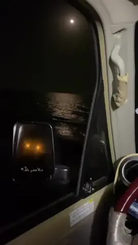 حبك ملك قلبي وكامل عروقه 😴🤍 #مشعجل #الحارثي #حمود_الحارثي  #مشعجل #محمد_مشعجل #كلشات #تمام_سعد_كده #الضالع #ابوبكر_سالم #عيضه_المنهالي #حسين_الجسمي #ماجد_المهندس #اصيل_هميم #اكسبو #اصيل_ابوبكر #ميحد_حمد #دبي #الشارقة #شحن #المهره #راشد_الماجد #محمد_عبده #مطر #امطار_اليوم #السنيدار #فيصل_علوي #امطار #ايوب_طارش #صلالة #ثمريت #شحن #المهره #حوف #الغيضه #حسين_محب #المزيونه #اكسبو #امطار #دبي #صنعاء #عدن #الجوف #حوف #سقطرى #الجوهرة #شبوه #مارب #حضرموت #قشن #ثمريت #ظفار #هيما #شبوه #مارب #المحويت #لحج 