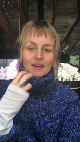 Anyone is feeling bored at the moment…? And mildly depressed for no particular reason? #fypシ #womanover40 #bccanada🇨🇦 #frenchie #singlelife #coldseason #winterdepression #homesteadlife #singleover40 🫶✨🇨🇦