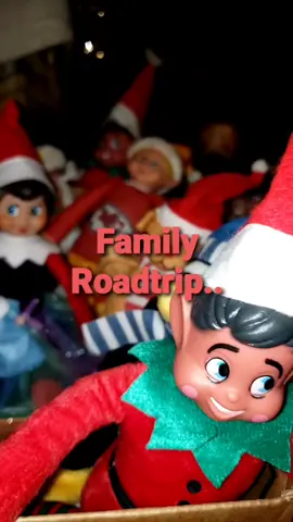 #elf #elfontheshelf #elflife #roadtrip 