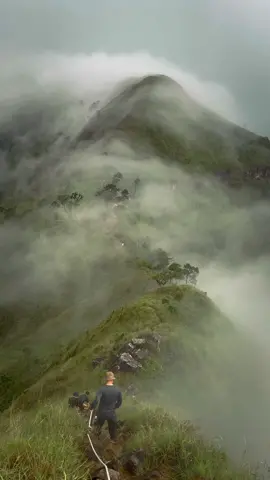 ใจฟู💚 #เขาช้างเผือก #อุทยานแห่งชาติทองผาภูมิ #กาญจนบุรี 