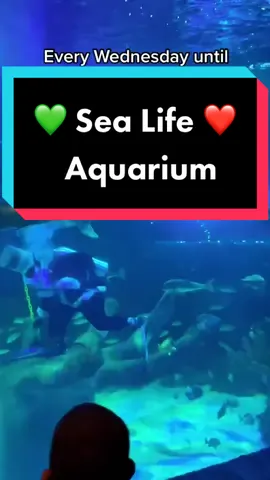 The kids had so much fun at @sealifenorthamerica such a unique Christmas experience 💙💙 #orlando #fun4kids